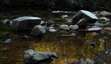 christian-newlands-YE9WNYBvuv0-unsplash (1)_11zon