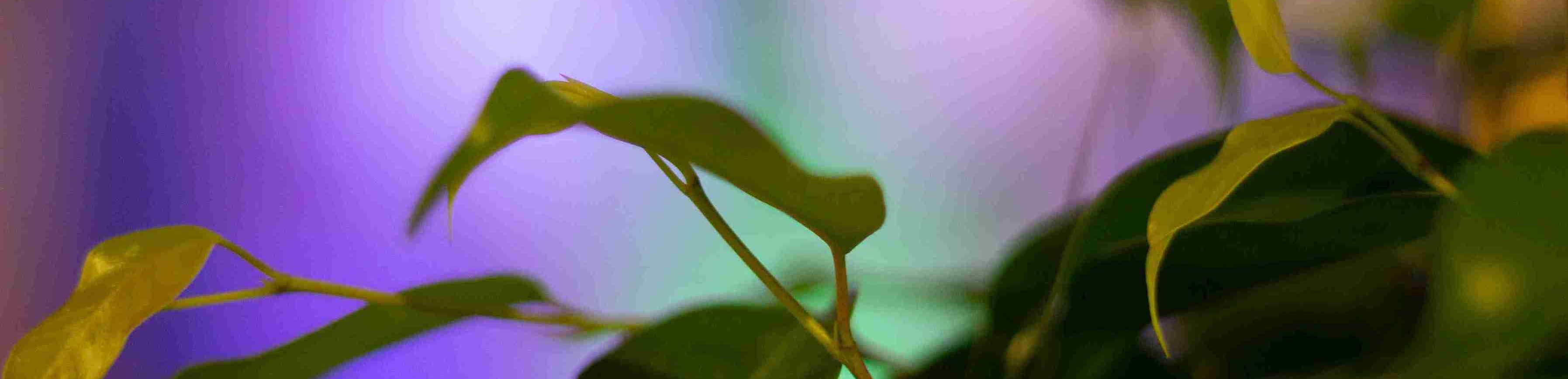 Dodge Mode: some of us are not dodging other people but ourselves.