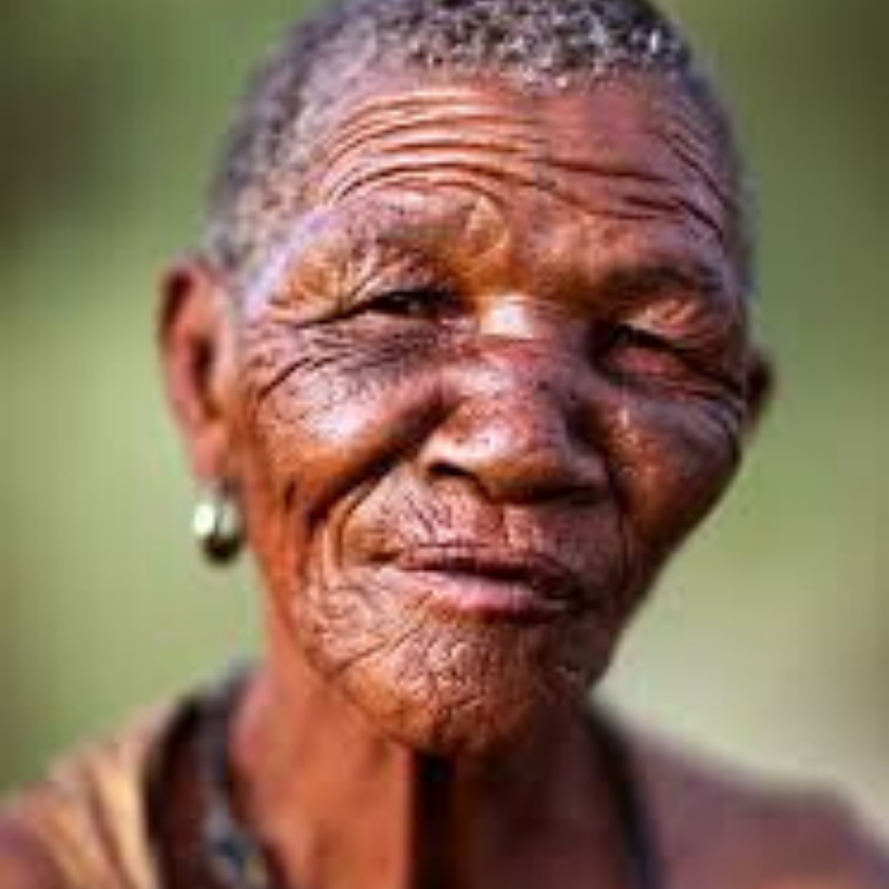 FACE: MEMOIR OF JOURNEYS’