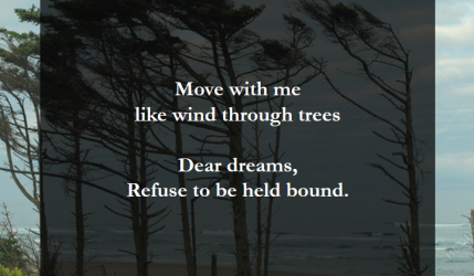 1*T23QlszLNzQr1wT4-kQ7HQ